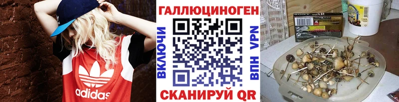 Псилоцибиновые грибы мицелий  Ивангород 